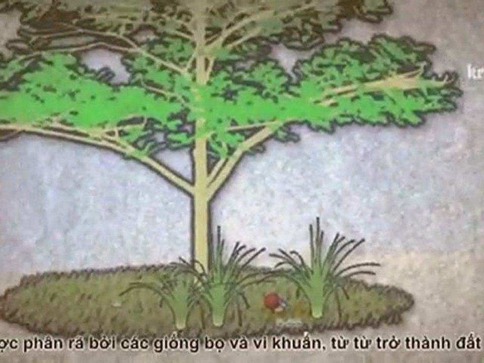 {Vietsub} [KST] Edison no haha ep 3_clip0