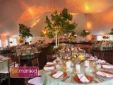 Wedding Decorations: Tents and Drapes