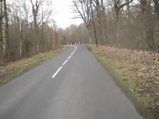 Foret de rambouillet