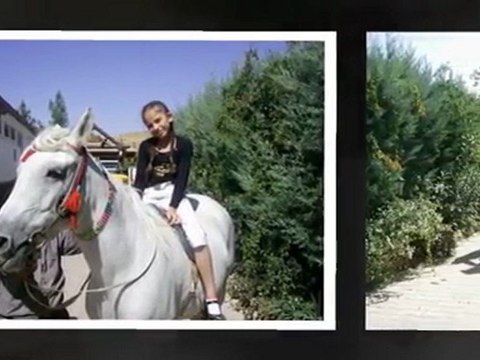 ben sana mecburum bilemezsin...