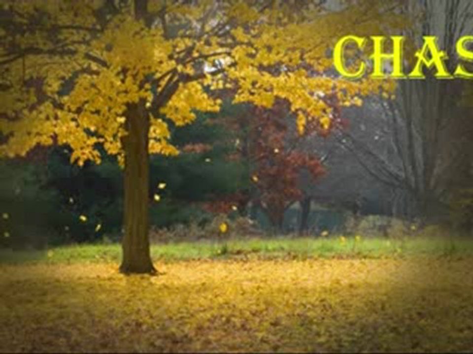 chasse aux oeufs 2010