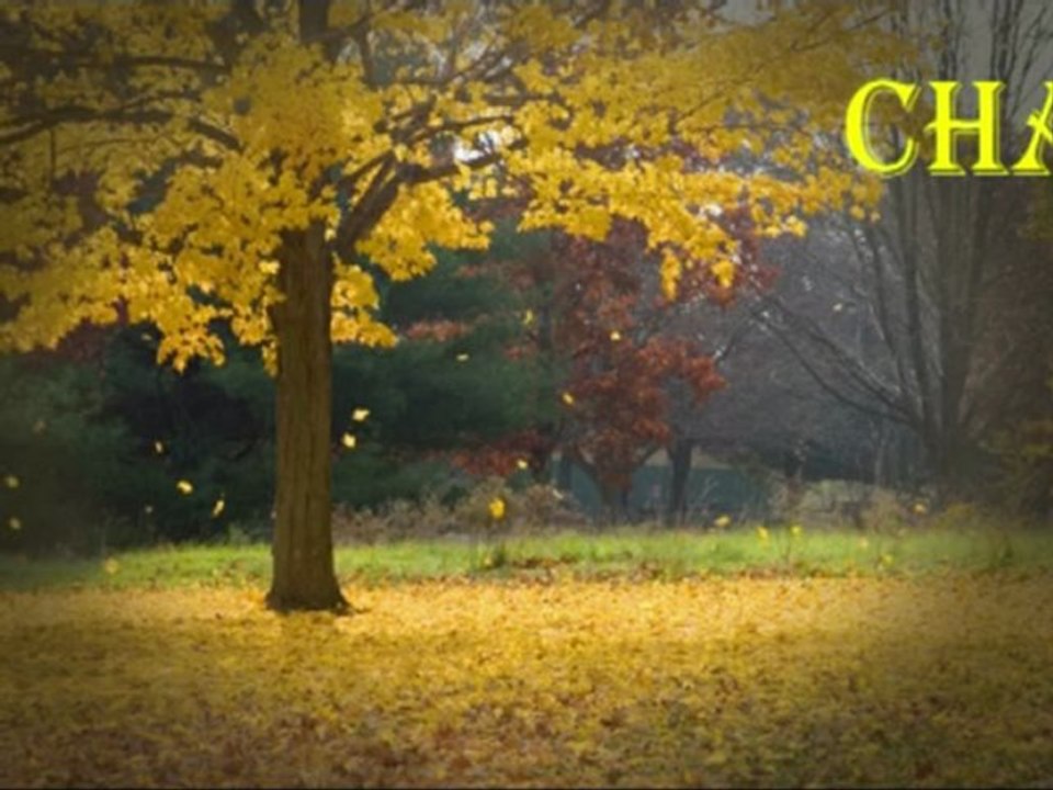 chasse aux oeufs 2010