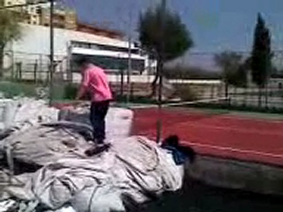 pipo