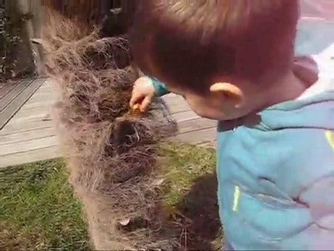 quentin cherche les oeufs de paques ! avec l'aide de papa lo