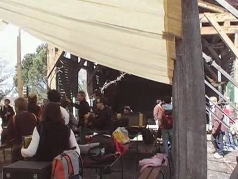 Boeuf gascons bretons