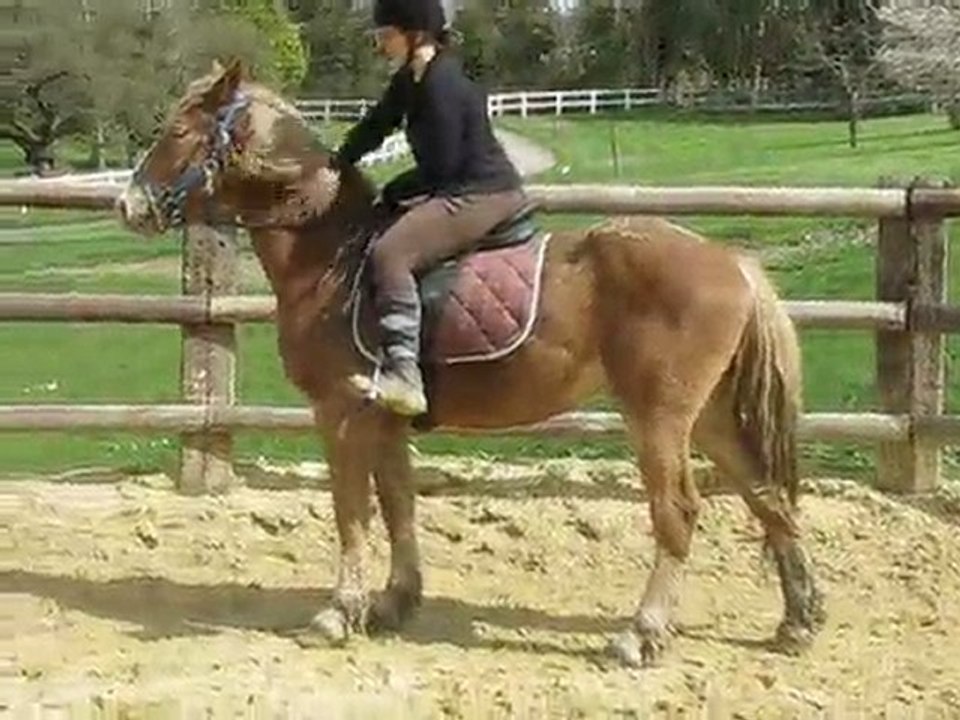 Tarot et moi 05/04/2010  0696