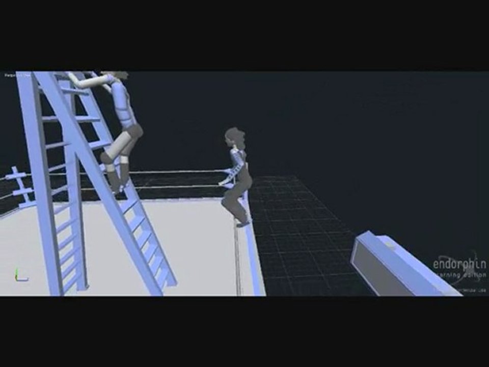 endorphin wrestling 9