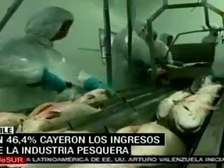 Descienden ingresos de industria pesquera en Chile