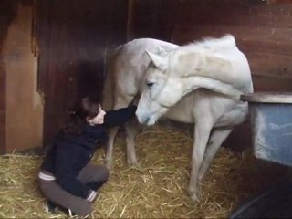 Florie Janvier (6 mois de poulinage)