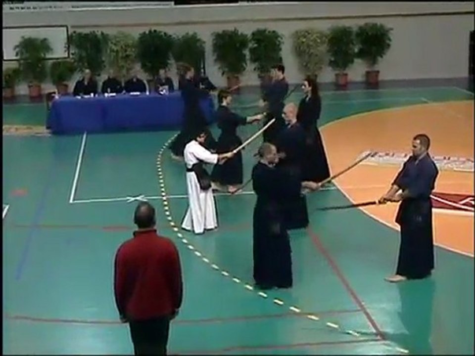 coupe des alpes 2010 - passage 2ème dan - katas