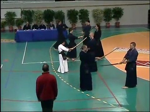 coupe des alpes 2010 - passage 2ème dan - katas