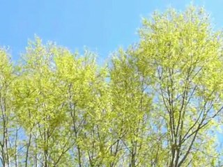 Un lundi de Pâques à Grenoble