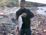 balikcilar.org kıyıdan balık avı   Hasan BALIKÇI