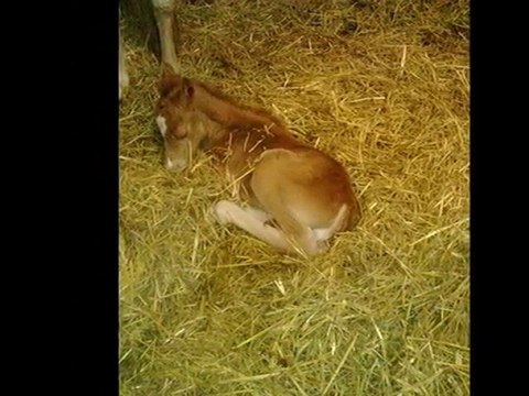 2éme jour de spirit toujours aussi degourdi