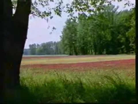 ilahivideo canmedinem.net ilahivideo cemal kuru