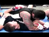 Werdum vs Fedor, MMA Fighter Werdum Training Video Interview