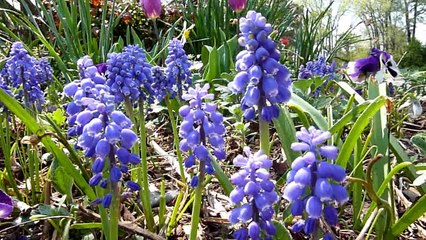 One minute and forty six seconds