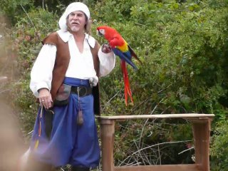 Golden Gate Renaissance Faire