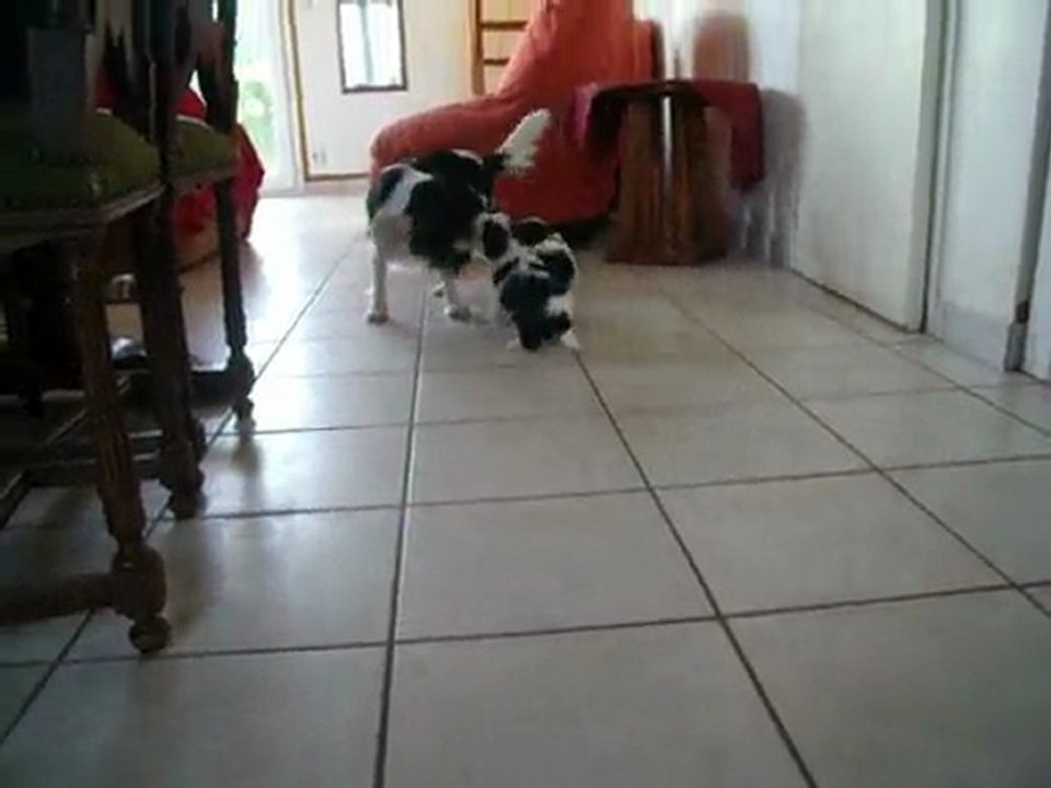 BEBES DE CYRABELLE
