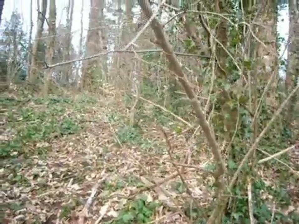 E-T est ELIOT en parc