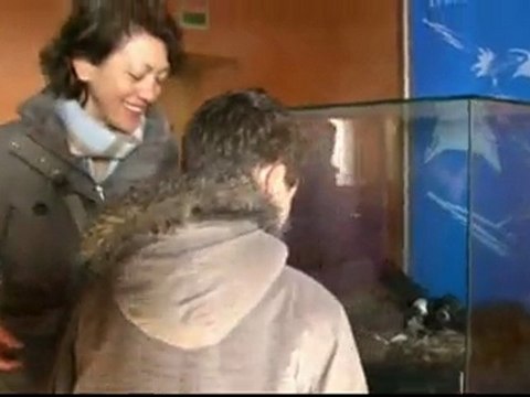 Visite du château de Saissac avec VVF Villages