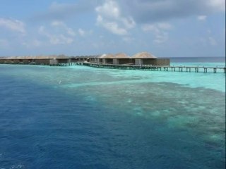 Maldives Lilly Beach 2010 Photo Story