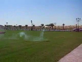 trex-600...UAE...