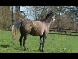 05.04.10 Sapho la folle