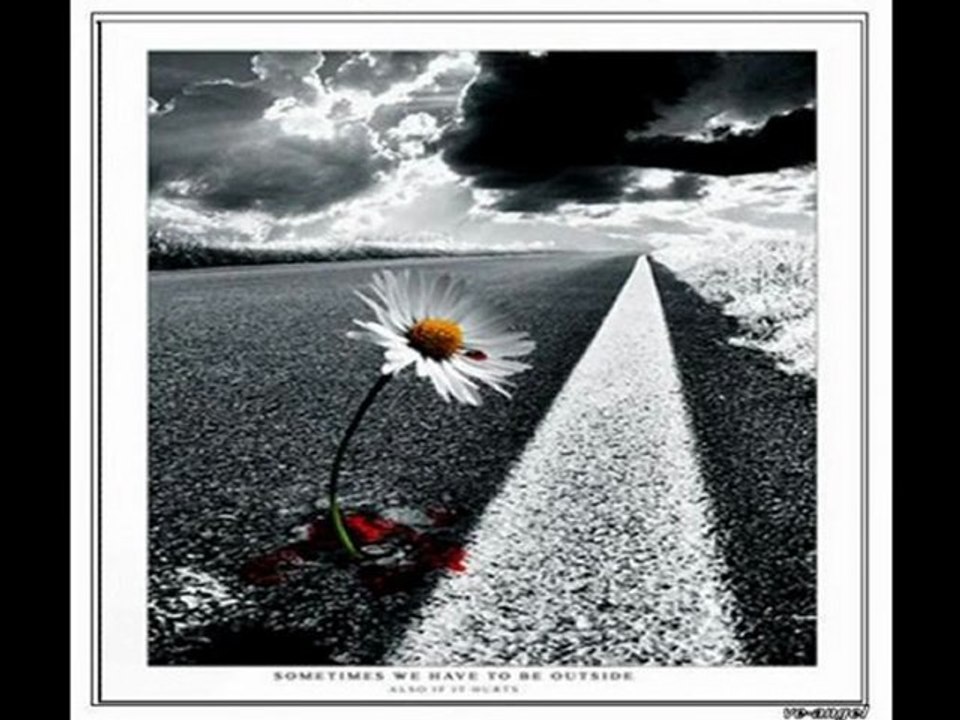 Ayna & Ay değil Mevsim değil