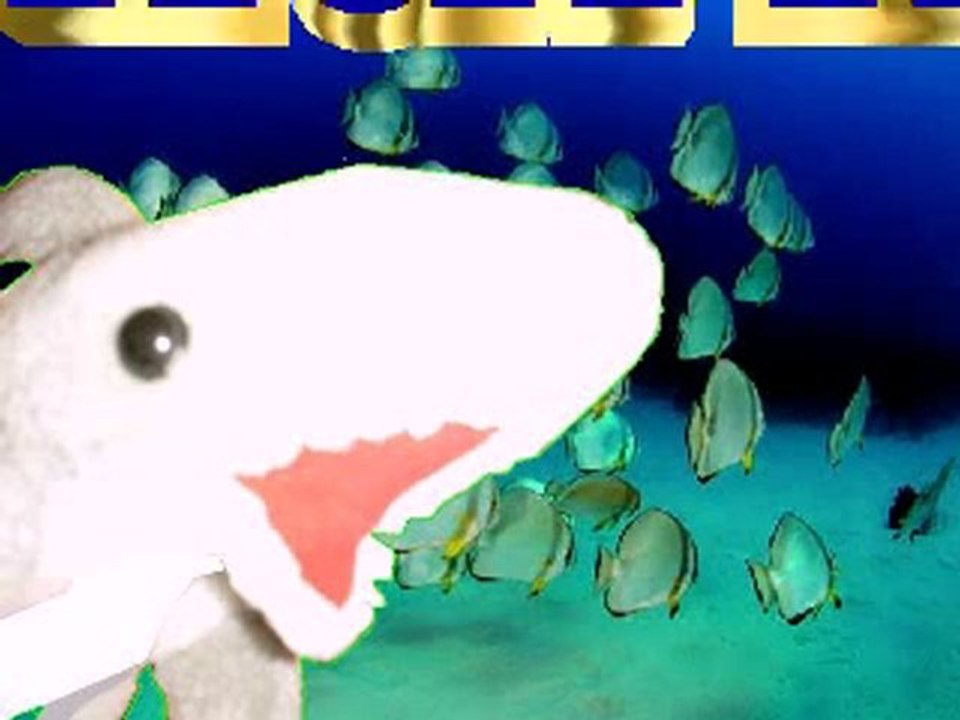 Sharky - Mon Poisson