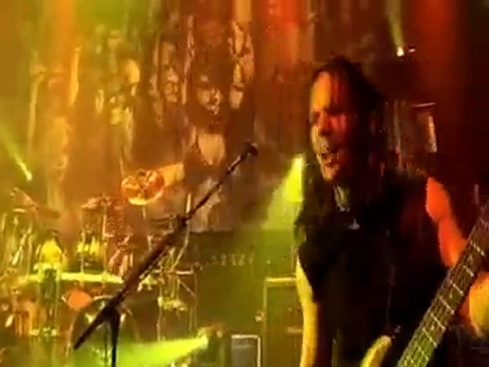 Disturbed - Liberate(live)