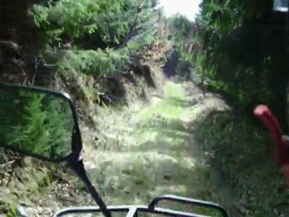 SANNAC/ l'ARBRE VIA LA CHAPELLE BERTIN PISTES FORESTIERES