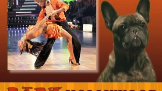 CANINES ADVISE BULLOCK, CLOONEY, DIAZ, TIMBERLAKE and DWTS