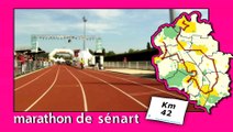Parcours du Marathon de Sénart 2014