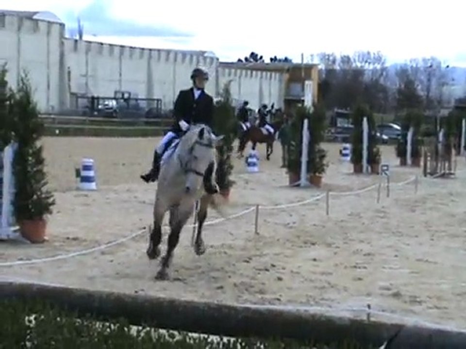 dressage club 2 gp
