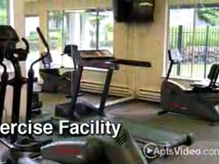 Aspen Park Apartments in Tacoma, WA - ForRent.com