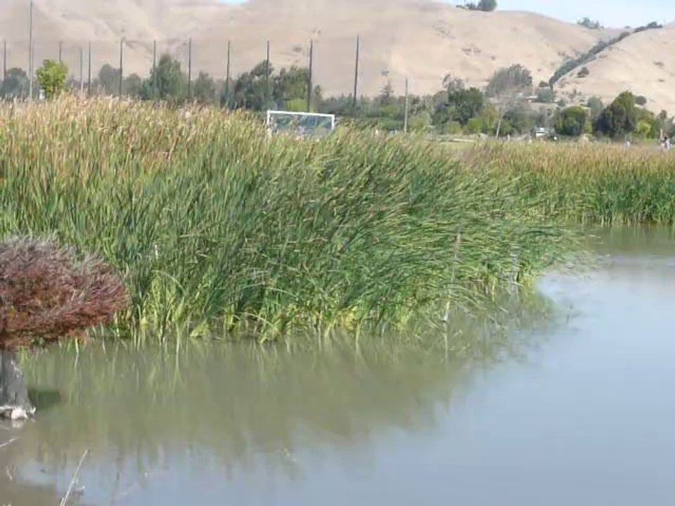 LAKE "ELIZABETT"