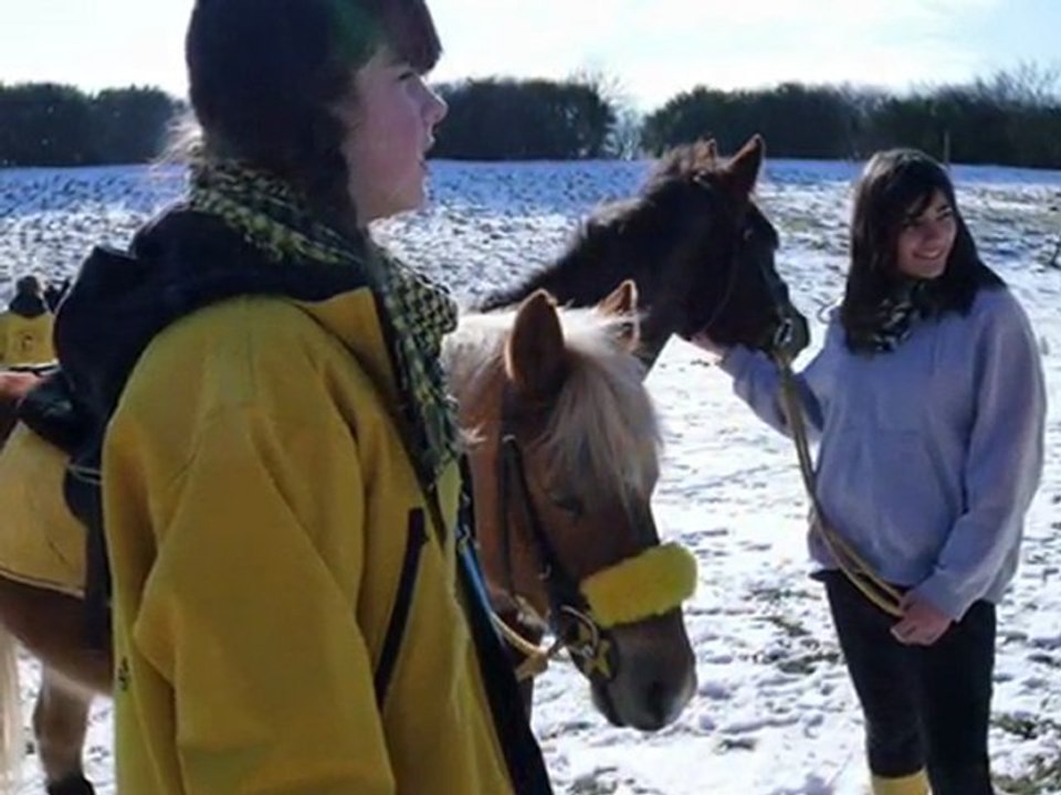 Lou&No Pony Games& Ethologie