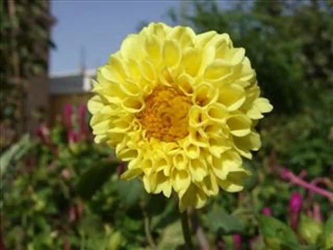 LE TEMPS DES CHAUMIÈRES....