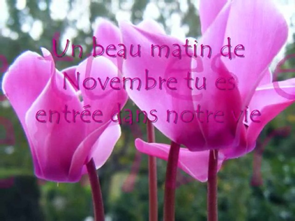 ma minette cherie
