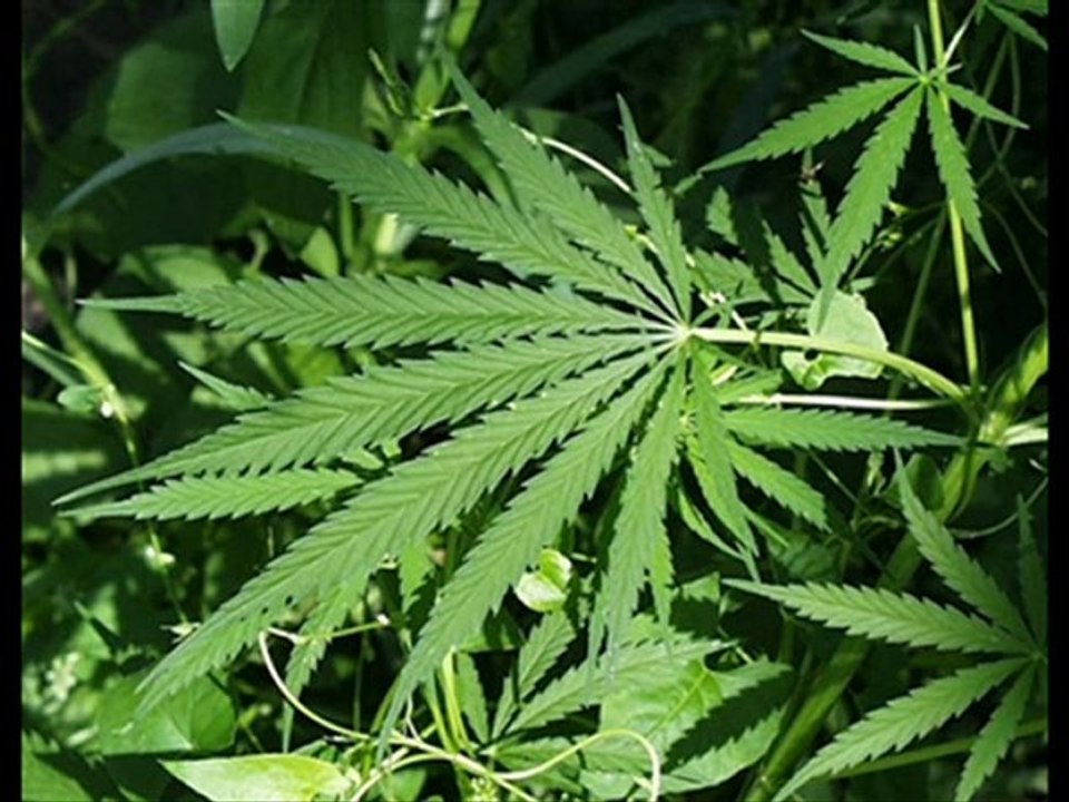 KeoPs Feat Şafak - Harmanım Bu Gece 2010