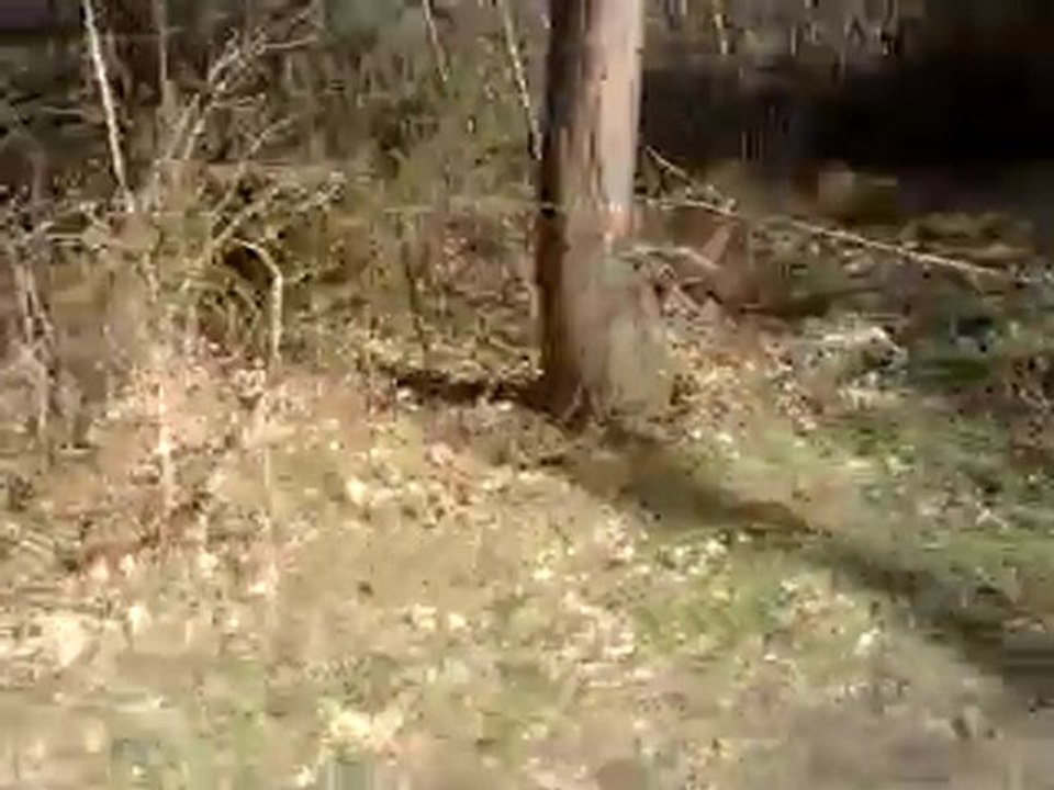 video embarquer en bud 125cc