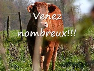 Invitation à la Soirée Musicale du 1er Mai 🎶