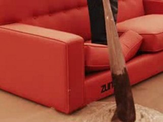 Zumiez Couch Tour Captain Coyne Ep. 17 Portland vs Captain