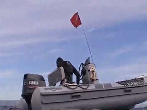 chasse sous marine (entre pottes)