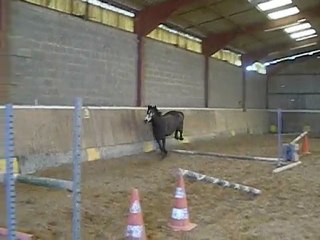 Stella des Mauvis obstacle liberté 3