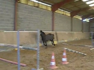 Stella des Mauvis obstacle liberté 4