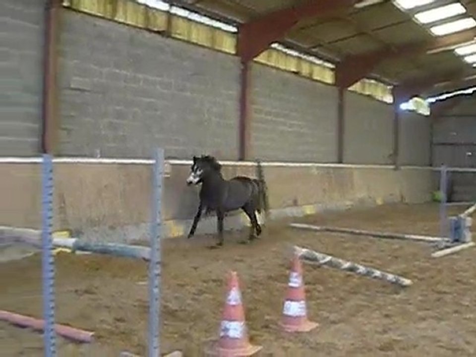 Stella des Mauvis obstacle liberté 5