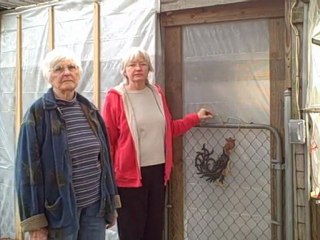 Keeping Chickens With Grandma