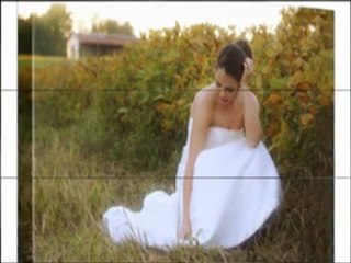 Digital Photo Painting into Canvas Art